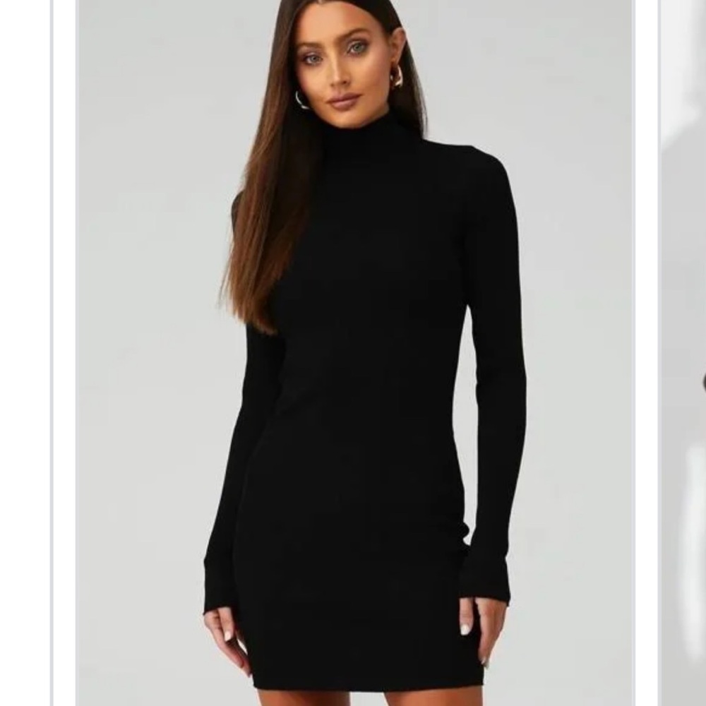 COTTON CITIZEN TURTLE NECK DRESS